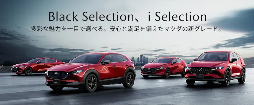 Black Selection、i Selection
